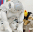 В Костроме пройдёт робототехнический хакатон RoboHack Zabota - Ko44.Ru