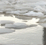 Водоемы в Костромской области массово вскрываются ото льда - ГТРК Кострома