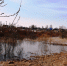 Дома буевлян защитили от воды костромские спасатели - ГТРК Кострома