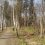 В Костроме после общегородского субботника вывезено более 300 кубометров мусора - Администрация г. Кострома