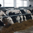 Помогли с модернизацией  и со сбытом продукции помогут - ТРК Русь