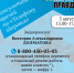 Какие врачи консультируют жителей области по «Телефону здоровья» в августе? (КАРТОЧКИ) - Северная правда