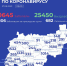 За сутки коронавирусная инфекция диагностирована у 106 человек - ТРК Русь