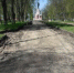 центральный парк мэрия - Kostroma.News
