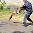 Фото: УФСИН России по Костромской области - ГТРК Кострома