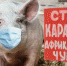 УВАЖАЕМЫЕ ЛЮБИТЕЛИ ЛЕСА, ГРИБНИКИ,ЯГОДНИКИ! - Департамент природных ресурсов и охраны окружающей среды