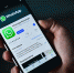 Костромичи могут остаться без WhatsApp* в Новом году - Интернет-телевидение Логос