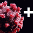 Коронавирус за сутки диагностирован у 8 жителей Костромской области - ГТРК Кострома