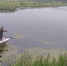 В реке под Костромой водолазы нашли тело несовершеннолетнего юноши - ГТРК Кострома