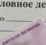 В Костроме поймали водителя с дважды подделанными правами - Интернет-телевидение Логос