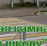 В Костромской области стартует социальная кампания «Иду в школу» - ГИБДД