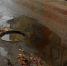 В Костроме открытый и залитый водой канализационный люк пообещали закрыть - Интернет-телевидение Логос