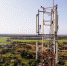 В поселки под Костромой пришел интернет на скорости 4G - Ko44.Ru