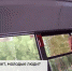 Безбилетники.mp4_snapshot_00.44.983.jpg - ГТРК Кострома
