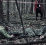 WN51w80VNPk.jpg - SMI44.Ru