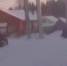 Детей привязали к мопеду и возили под Костромой: видео - Kostroma.Today