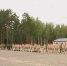 В Костромской области в самом разгаре военно-патриотическая игра Зарница 2.0 - ГТРК Кострома