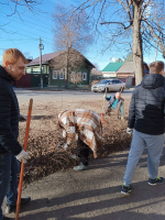 Всероссийская неделя субботников «Мы за чистоту».