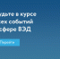 Об официальном Telegram-канале РЭЦ «Новости российского экспорта» - Департамент лесного хозяйства