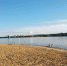 В Костроме в самом разгаре выборы, но не те - Kostroma.Today