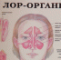 Врачи рассказали об истинных виновниках страданий костромских аллергиков - ГТРК Кострома
