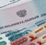 Совместная работа по вопросу взыскания задолженности продолжается - Департамент лесного хозяйства