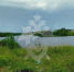 22-летнего костромича нашли мертвым в реке - Kostroma.Today