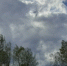 Гроза с ветром и градом вот-вот обрушится на Костромскую область - Комсомольская Правда