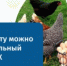 Региональная программа "Снижение доли населения с доходами ниже прожиточного минимума в Костромской области" - Администрация Костромского района