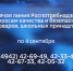 Эксперты помогут выбрать костромским родителям лучшее для ребенка - ГТРК Кострома