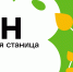 Молодежная станица «Дон» приглашает на межрегиональную медиашколу «МедиаПоля» - Департамент экономразвития