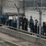 В Костроме на два года посадили неудачливую спасительницу нелегального мигранта - Интернет-телевидение Логос