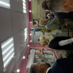 Директор департамента Марина Назина сегодня работает в Нейском муниципальном округе