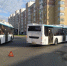 В Костроме автобус сбил девочку-подростка на переходе - Комсомольская Правда