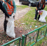 Более 3000 костромских школьников эти летом поработали в трудовых отрядах - Город Кострома