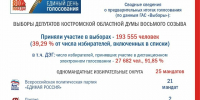 Предварительные итоги выборов - Областная Дума
