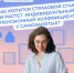 Самозанятые костромичи могут сформировать свою будущую пенсию - Интернет-телевидение Логос