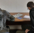 Жители регионов России выбирают Костромскую область для подписания контракта - Администрация области