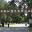 Из-за экологического полумарафона в Костроме введут ограничения для транспорта - ГТРК Кострома