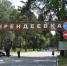В Костроме транспорт не пропустят в «Берендеевку» в день полумарафона - Комсомольская Правда