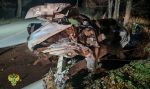 Девочка погибла в жуткой аварии в костромском райцентре
