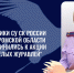 Сотрудники следственного управления СК России по Костромской области присоединились к акции «Дни белых журавлей» - Следственное управление