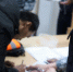 Дорожные полицейские на костромской трассе выявили мигранта-нарушителя - ГТРК Кострома