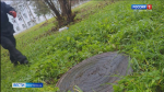 Засоры.mp4_snapshot_00.19.413.jpg