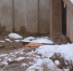 крысы.mp4_snapshot_01.57.113.jpg - ГТРК Кострома