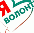 Дорогие волонтёры! - Облспорткомитет