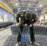 You are viewing the image with filename Image00001.jpg - Костромская ГСХА
