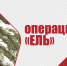 Об охране молодняков хвойных пород  в предновогодний период - Департамент лесного хозяйства