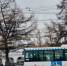 Автобус от Костромы до Караваево в новогодние каникулы поменяет расписание - Интернет-телевидение Логос