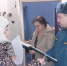 Профилактические беседы с жителями как действенный метод профилактики пожаров - МЧС